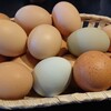中山道歩き旅 第十九回 芦田から和田 その③