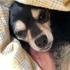 まろにー1173日目