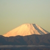 👼🐉早朝の【特急🚆湘南】＆《🗻富士山》雄姿!!