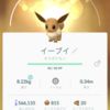 今日のキラポケ❗️