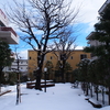 除雪も疲れてきました「金沢雪景色」