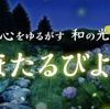 新感覚の植物園「HANA・BIYORI(はなびより)」で「ほたるびより」を開催中