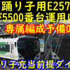 E257系踊り子編成をあかぎ運用に入れないと運用が回りません! カツカツE257系！