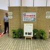 台東区『あさがお展示会』見れました！