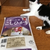 今年初！！　新米を購入しました🍚