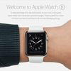 【日本語サイト利用可能に】Apple Watchの特徴や使い方を解説「Apple Watch Guided Tours」公開