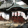 安芸津彦神社の彩り