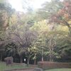 天気も穏やか久し振りにいつもの多摩周辺散歩