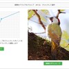 JavaScript）AIツール「Claude」で、ブラウザに画像をアップロードしてトーンカーブで明るさ補正をしてダウンロードできるWebアプリ作成。