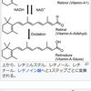 ビタミン界最強の効果を誇るビタミンDと、その他脂溶性ビタミン