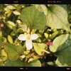 Photo No.1954 / 木曜日を乗り切った
