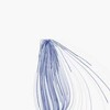processingでベクトル場