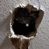 米国の住宅で水漏れした天井を直す - 前編