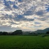 梅雨明けましたね