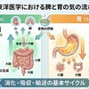 腹部膨満感にガス腹、、、なってみるとつらいんです。なおってほしい　〘気滞と脾胃は「気の昇降（しょうこう）」について〙