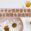 アレクサが突然音を発する理由と対策を徹底解説！