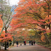 神社・寺院の御朱印　（毘沙門堂　醍醐寺　南禅寺天授庵　等）　第四日目