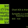 【歌詞・和訳】Charli XCX & Ariana Grande / Sympathy is a knife featuring ariana grande