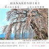 山田公治写真展 HANAKESHIKI ― 桜の在る風景 ―　by　山田公治