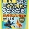 イトスイ コメット 金魚の主食 納豆菌 小粒 90g[LP] 【TC】【RCP】【hl150515】