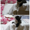 何かいますか〜？。。。