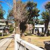 蓮根氷川神社【板橋区の縁結びのパワースポット】