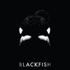 映画『ブラックフィッシュ:「殺人シャチ」と呼ばれた黒き悲しき生物』Blackfish 【評価】B ガブリエラ・カウパースウェイト