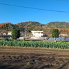 マルシェ・燻製🧀手伝い