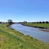 元荒川を歩く その３ 蓮田川島橋(なかよし橋)から久喜・旧菖蒲町大御堂橋