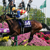 日曜競馬　展望