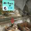 動物園・その6