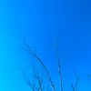 １月３日