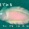 長い目でみる