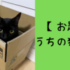 【お題】うちの猫自慢