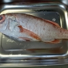 魚釣りに行って・・・魚もらった・・・？？ｗｗ