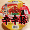 【辛辛豚】 人気カップ麺の新シリーズ！辛さは？味は？【寿がきや】