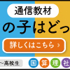 夏休みの小学生の勉強、何させる？チャレンジ、くもんの代わりの教材を検討してみた