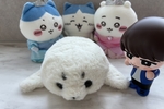 理想と尊敬：ハチワレとちいかわ