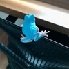 【かえるケロケロ】