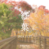 【写真】2024年 秩父・長瀞の紅葉 