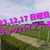 2023,12,17 日曜日 トラックバイアス予想 (中山競馬場、阪神競馬場、中京競馬場)