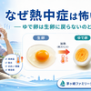 なぜ熱中症は怖いのか — ゆで卵は生卵に戻らないのと同じ