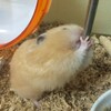 みそあん257日目