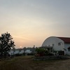 マイソールから帰国しました