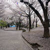 飛鳥山公園 / 旧古河庭園