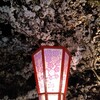 💮夜桜💮