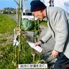 太刀八幡宮　川祭り　その3 甘酒