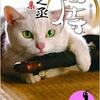 『猫侍』
