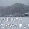 1月頃に雪が降りました。