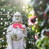 普門院　新春の景色